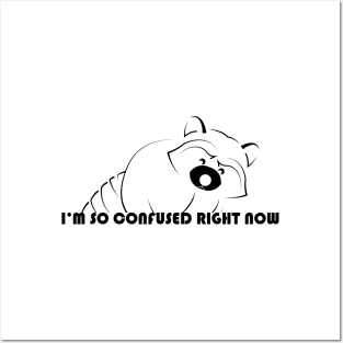 Raccoon - Im So Confused Right Now - 01 Posters and Art